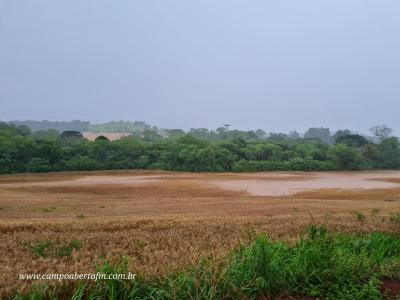 Produtores lamentam prejuízos ainda imensuráveis 